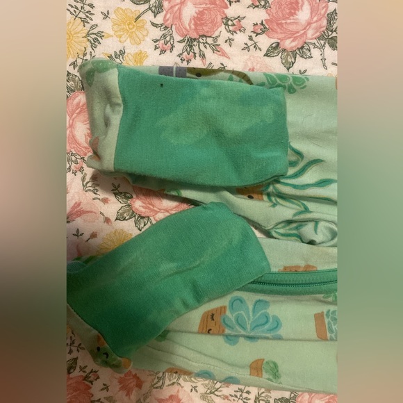 succulent sleepie - Picture 2 of 2